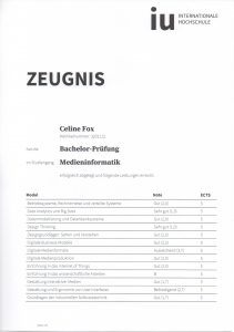 Zeugnis1-Bachelor-IU
